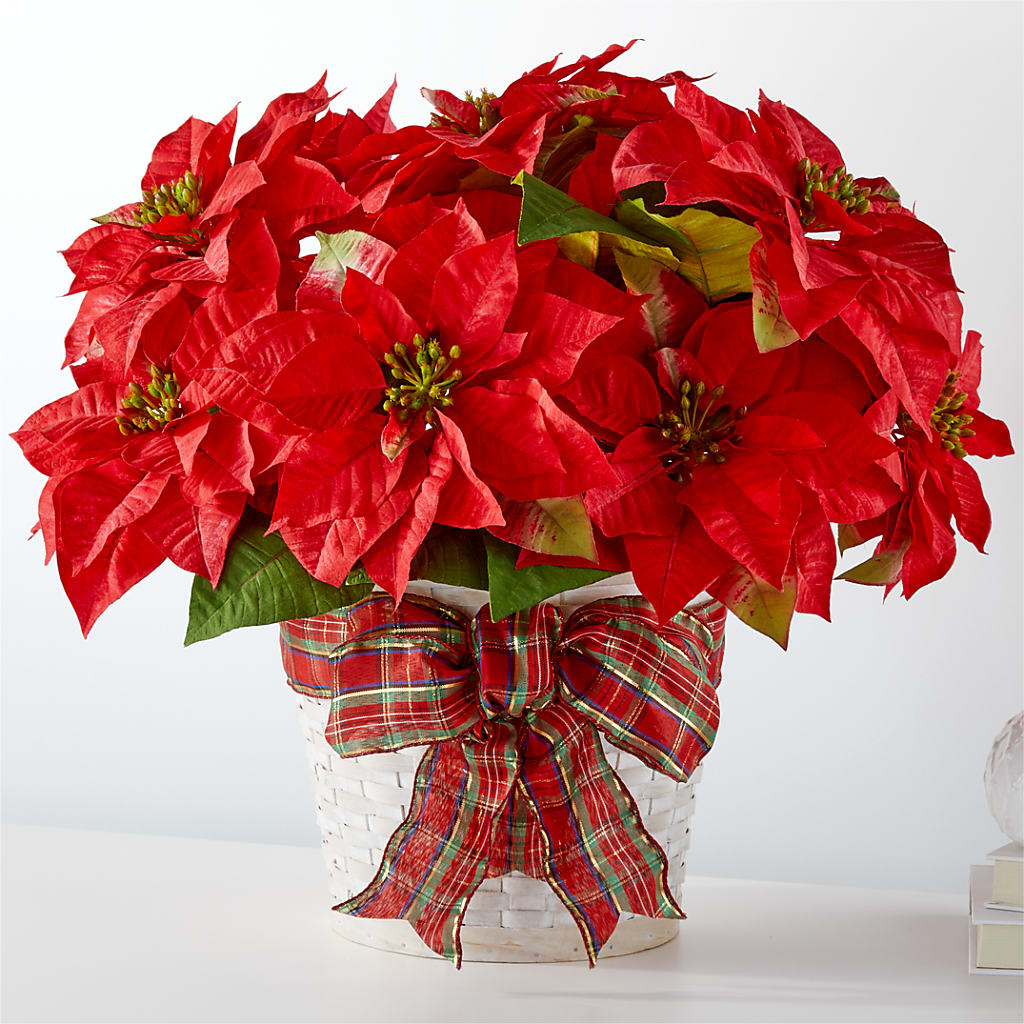 Happiest Holidays Poinsettia – Flowers In Spring Llc, Lynchburg VA