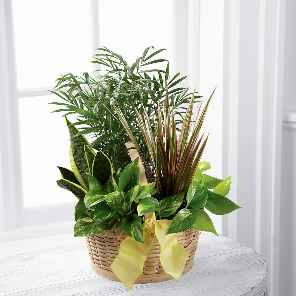 French Garden – Flowers In Spring Llc, Lynchburg VA