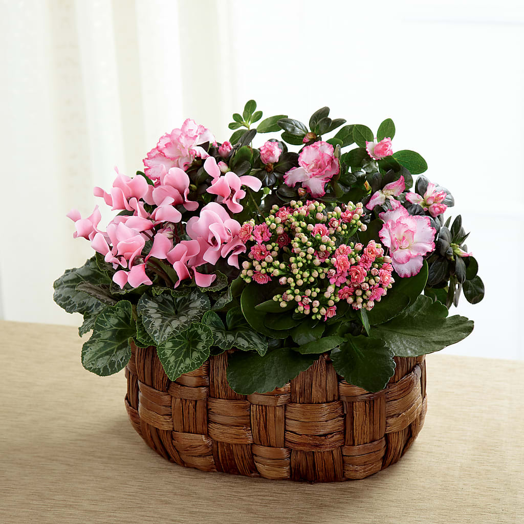 Pink Assortment – Flowers In Spring Llc, Lynchburg VA