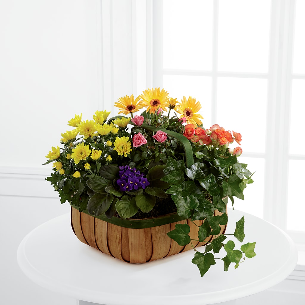 Gentle Blossoms Basket – Flowers In Spring Llc, Lynchburg VA
