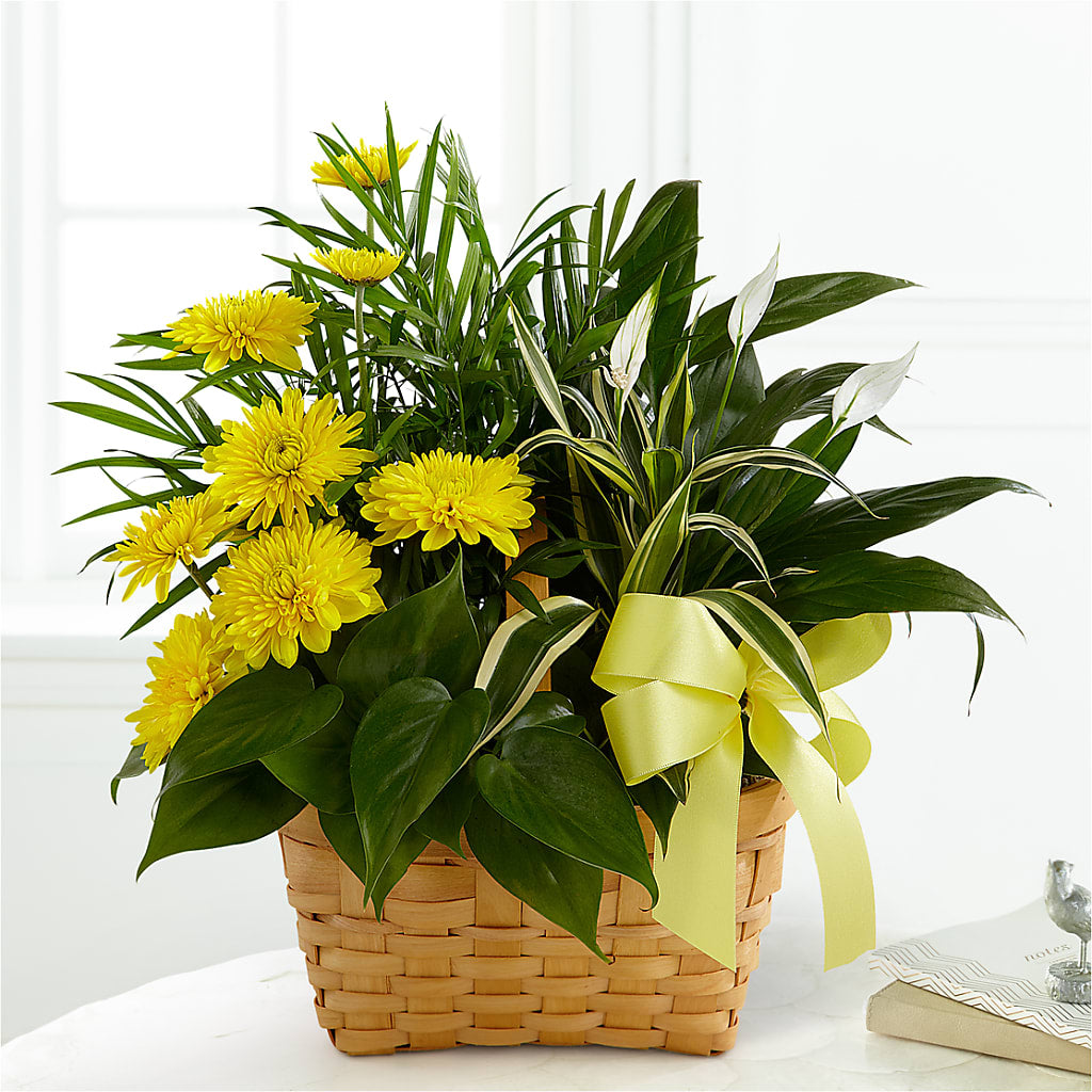 Loving Light Dishgarden – Flowers In Spring Llc, Lynchburg VA