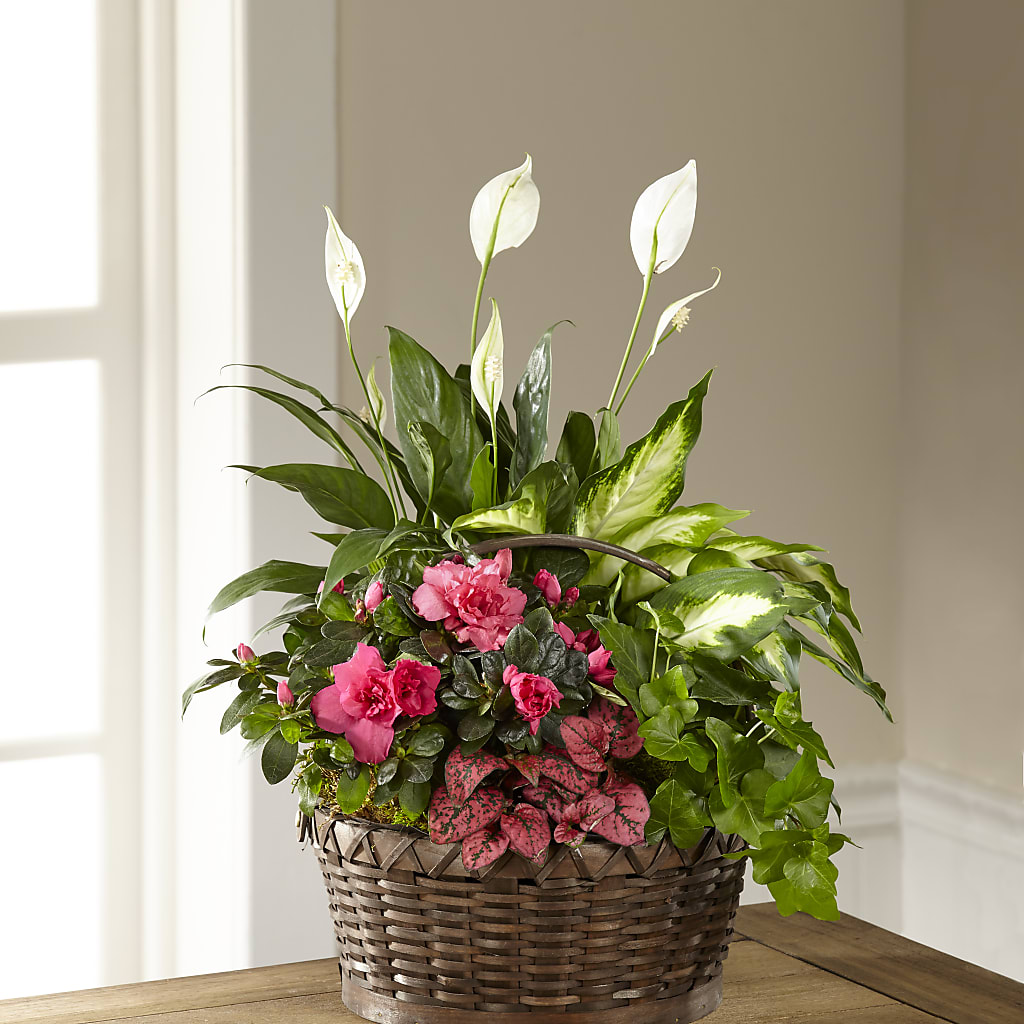 Dream in Pink Dishgarden – Flowers In Spring Llc, Lynchburg VA