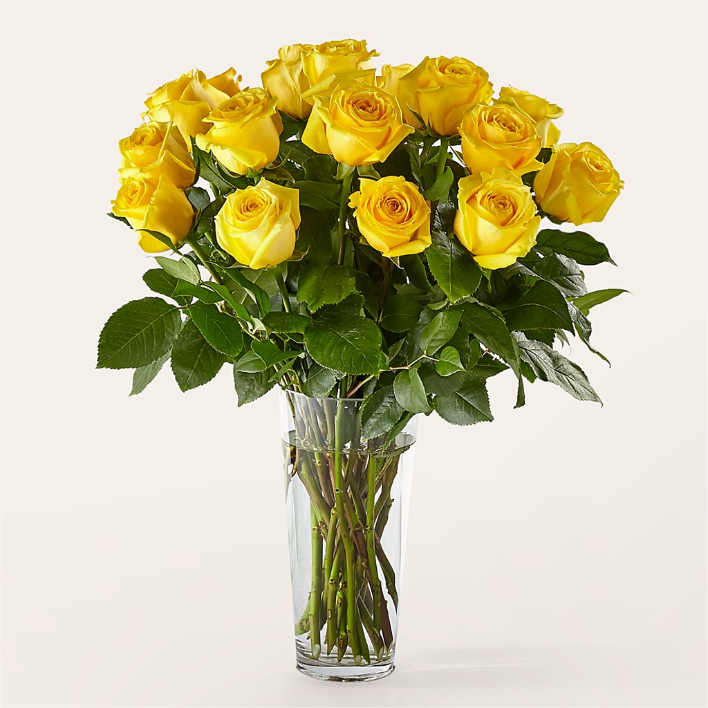 Long Stem Yellow Rose Bouquet – Flowers In Spring Llc, Lynchburg VA