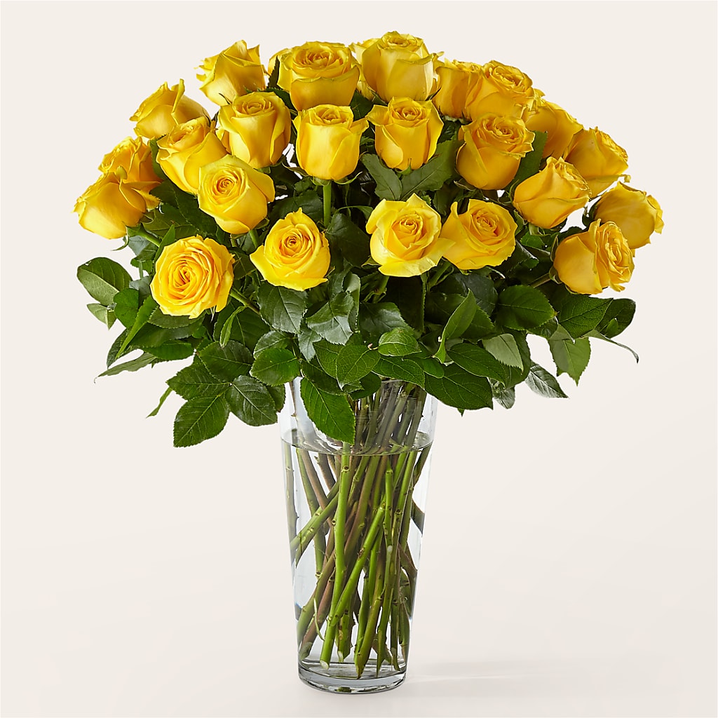 Long Stem Yellow Rose Bouquet – Flowers In Spring Llc, Lynchburg VA