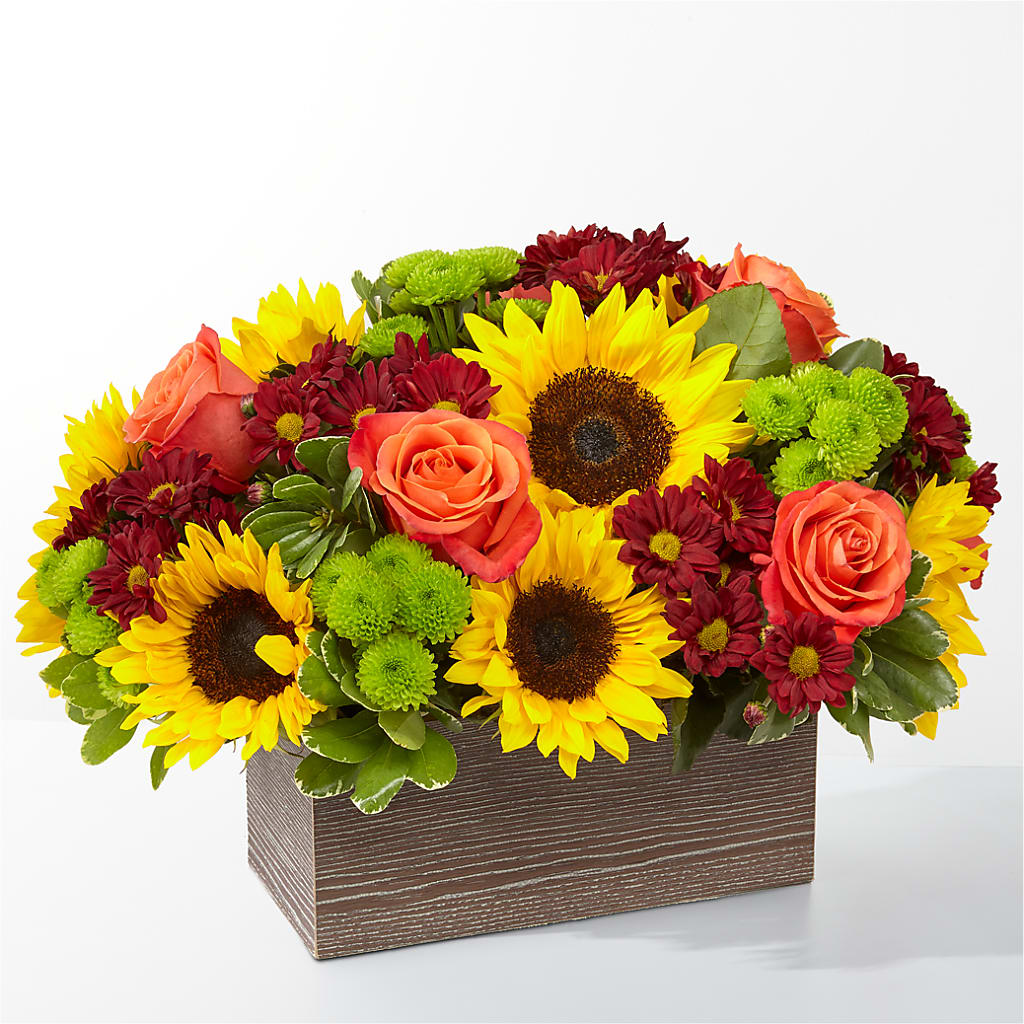 Happy Harvest Garden – Flowers In Spring Llc, Lynchburg VA