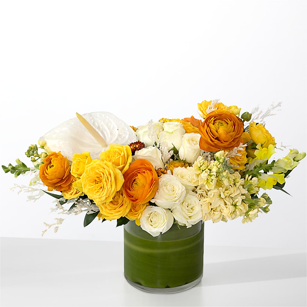 The Optimist – Flowers In Spring Llc, Lynchburg VA