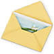 Greeting Card – Flowers In Spring Llc, Lynchburg VA