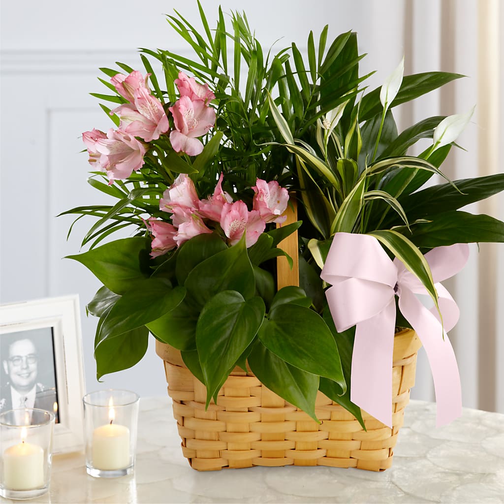 Living Spirit Dishgarden – Flowers In Spring Llc, Lynchburg VA