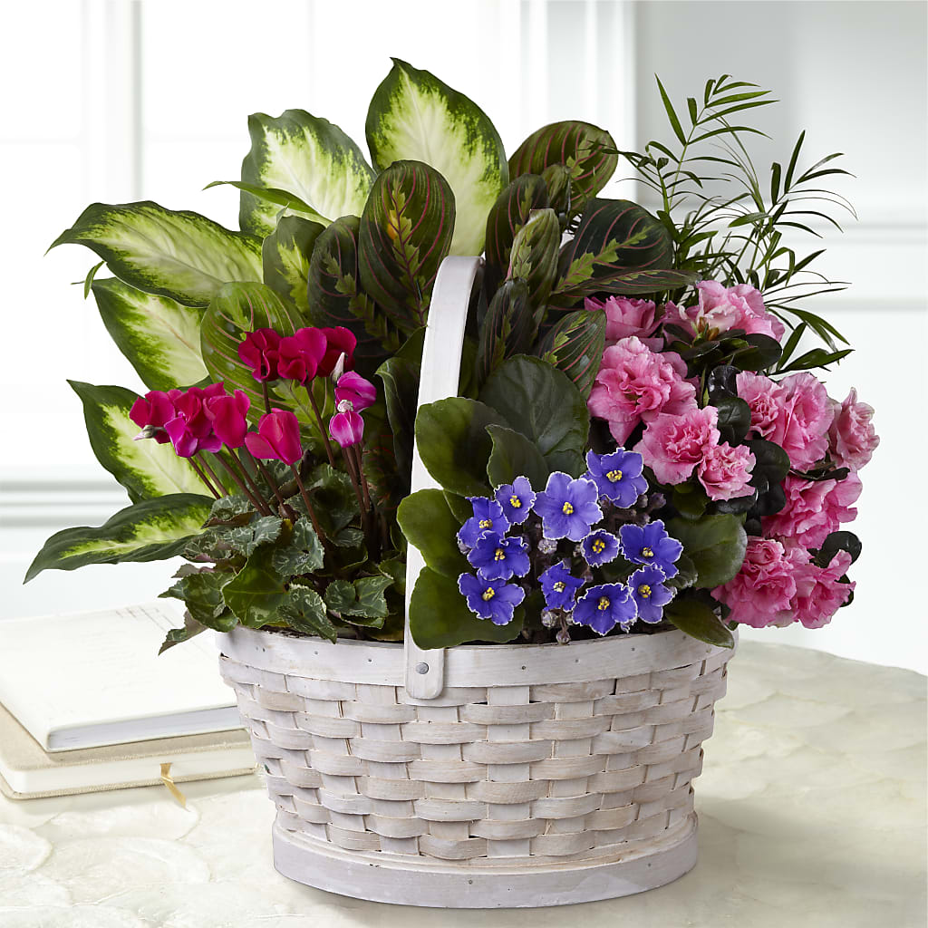 Peaceful Garden Planter – Flowers In Spring Llc, Lynchburg VA