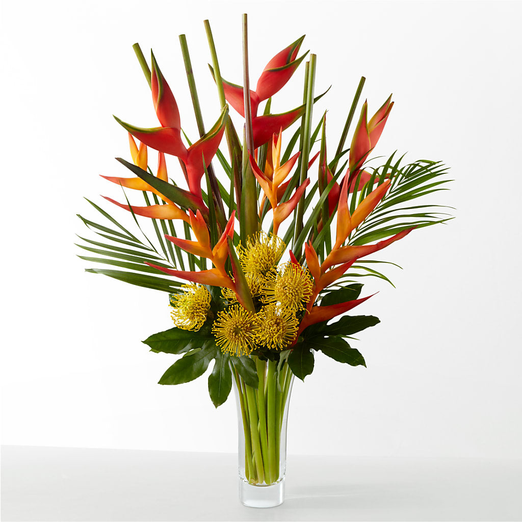 The Drama – Flowers In Spring Llc, Lynchburg VA