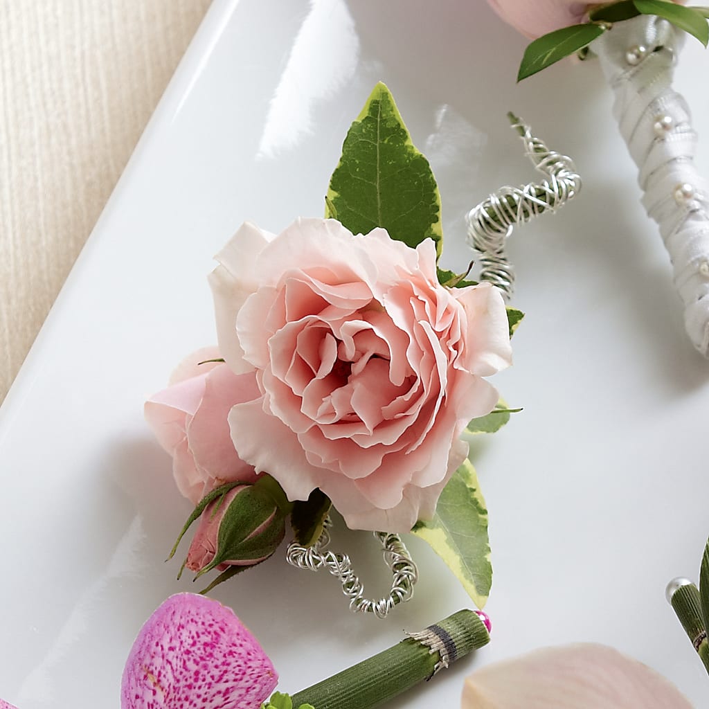 Pink Spray Rose Boutonniere – Flowers In Spring Llc, Lynchburg VA