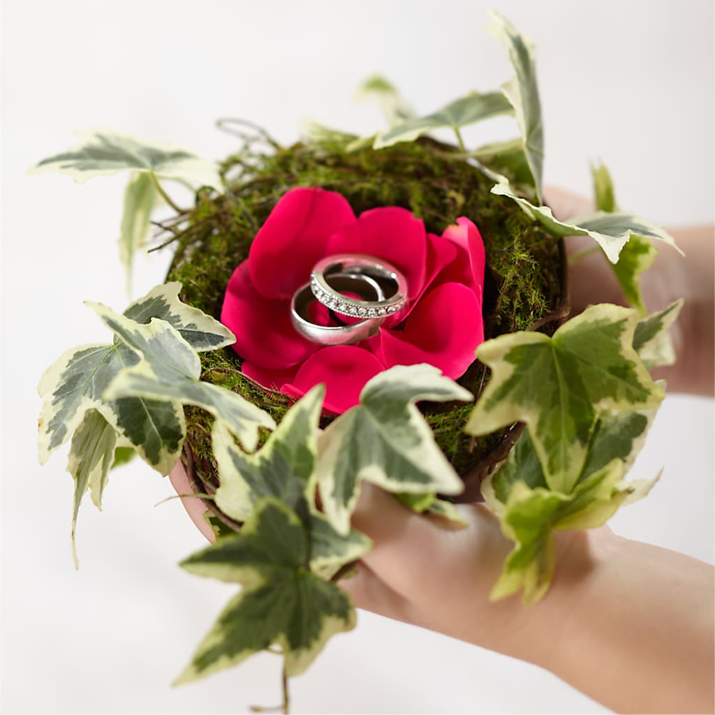 Lila Rose Ring Nest – Flowers In Spring Llc, Lynchburg VA