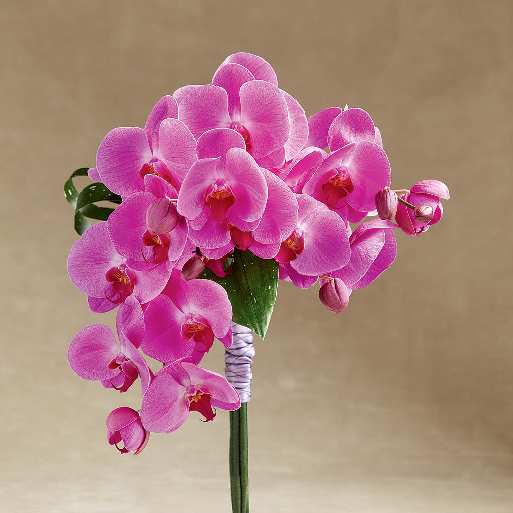 Glorious Bouquet – Flowers In Spring Llc, Lynchburg VA