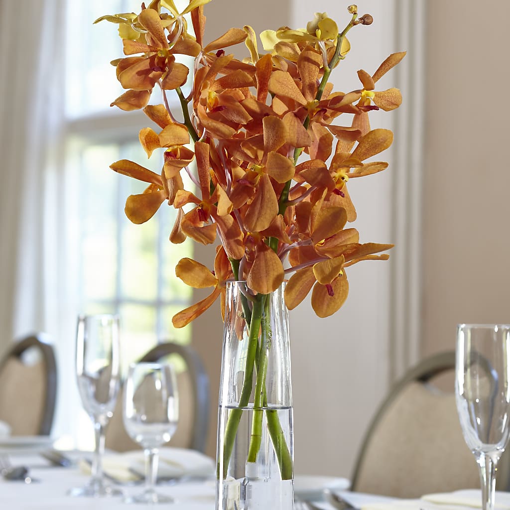 Orange Mokara Bud Vase – Flowers In Spring Llc, Lynchburg VA