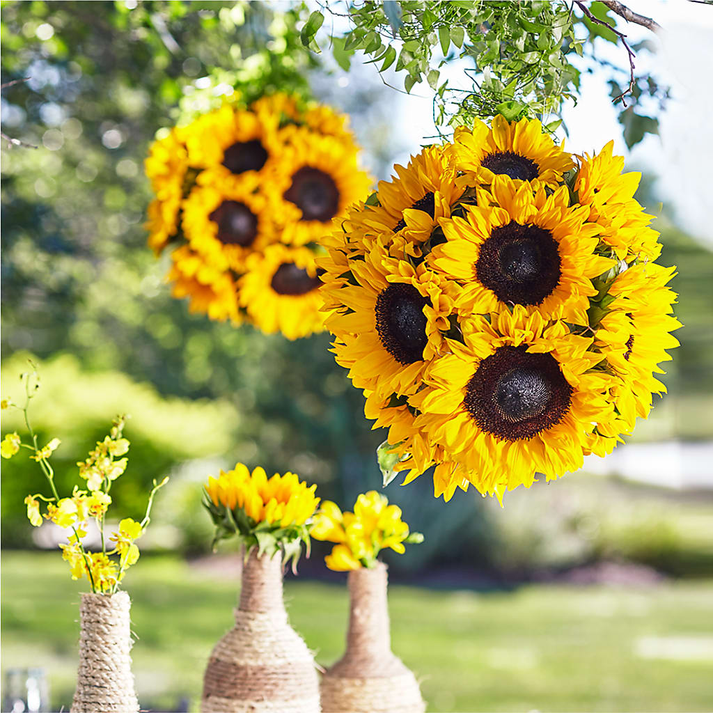 Sublime Garden Hanging Arrangement – Flowers In Spring Llc, Lynchburg VA
