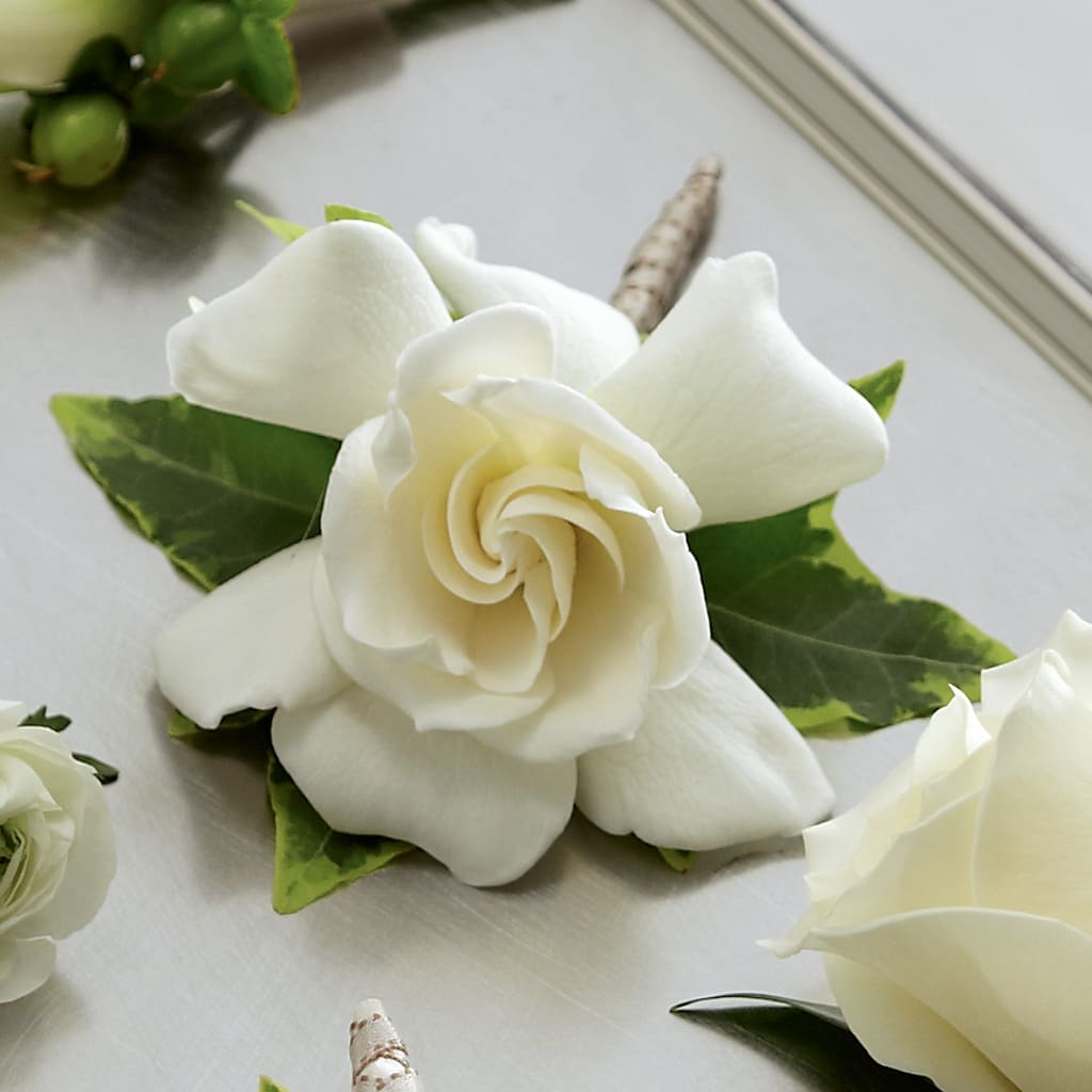 Gardenia Boutonniere – Flowers In Spring Llc, Lynchburg VA