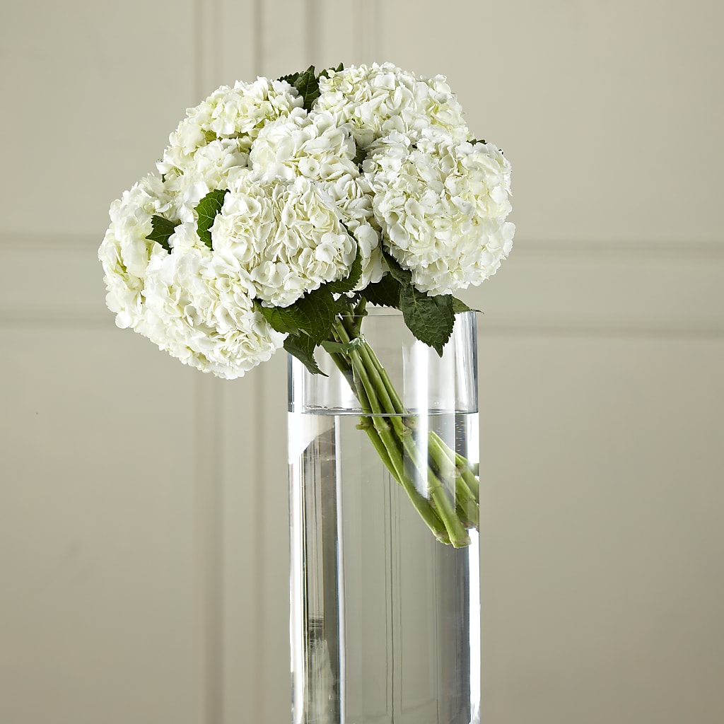 White Hydrangea Hand-Tied Bouquet – Flowers In Spring Llc, Lynchburg VA