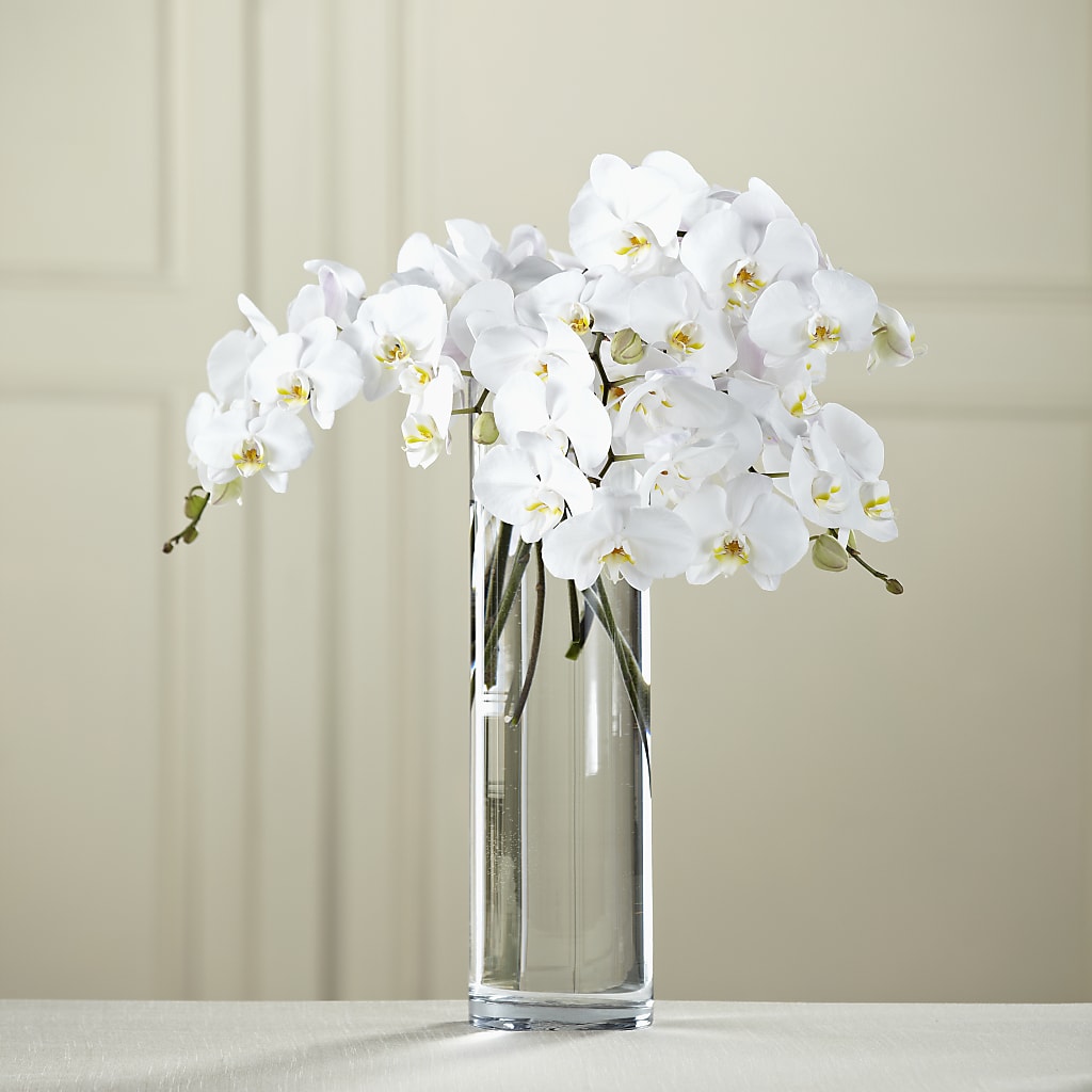 White Phalaenopsis Bouquet – Flowers In Spring Llc, Lynchburg VA