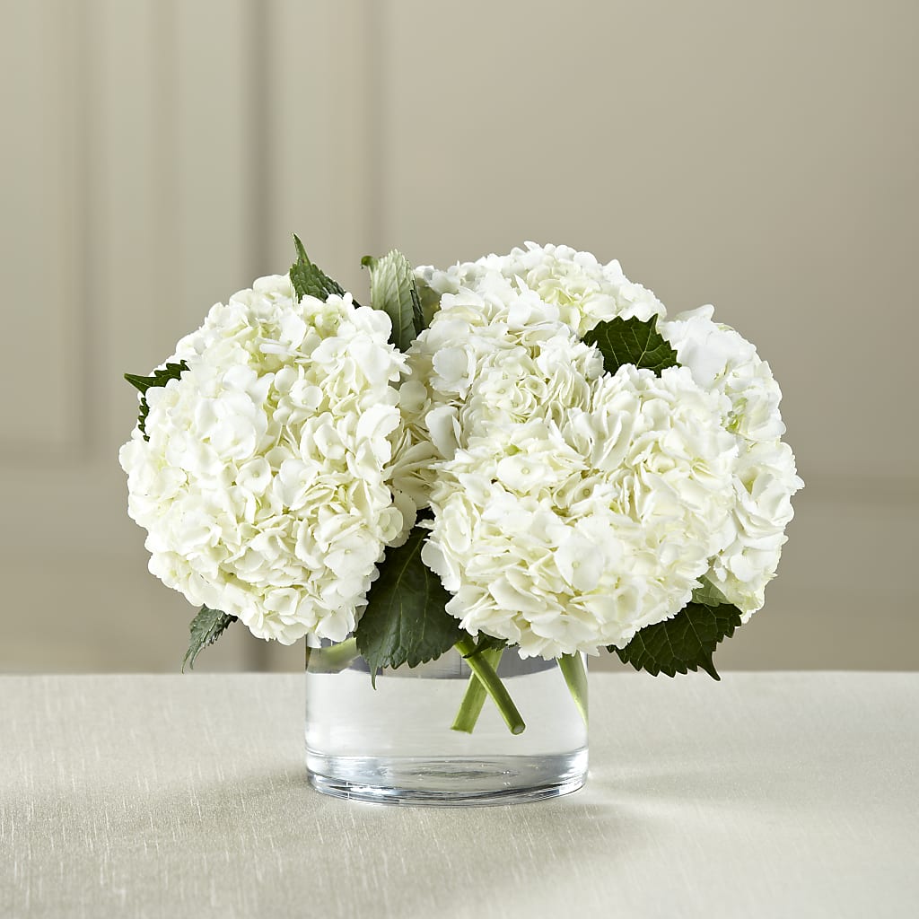 White Hydrangea Bouquet – Flowers In Spring Llc, Lynchburg VA