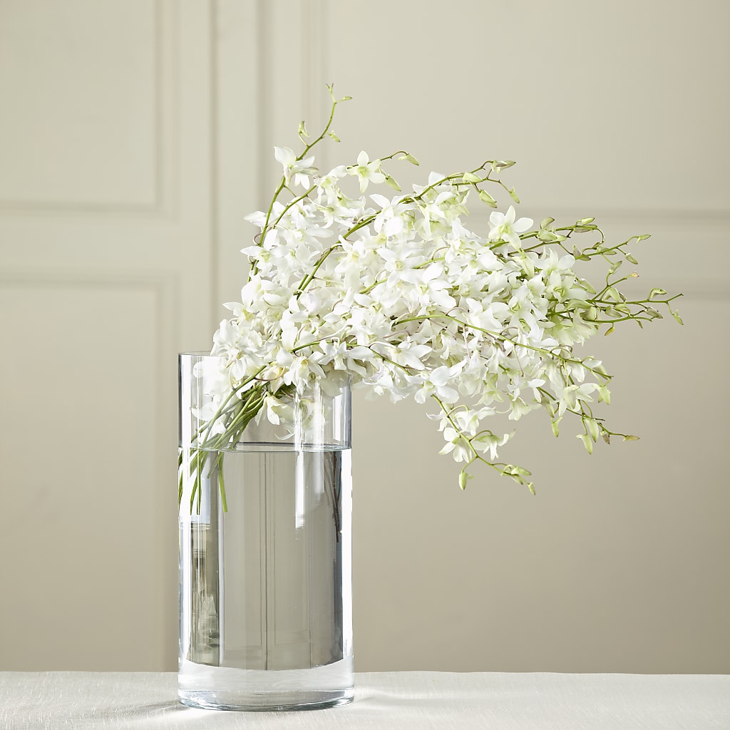 White Dendrobium Bouquet – Flowers In Spring Llc, Lynchburg VA