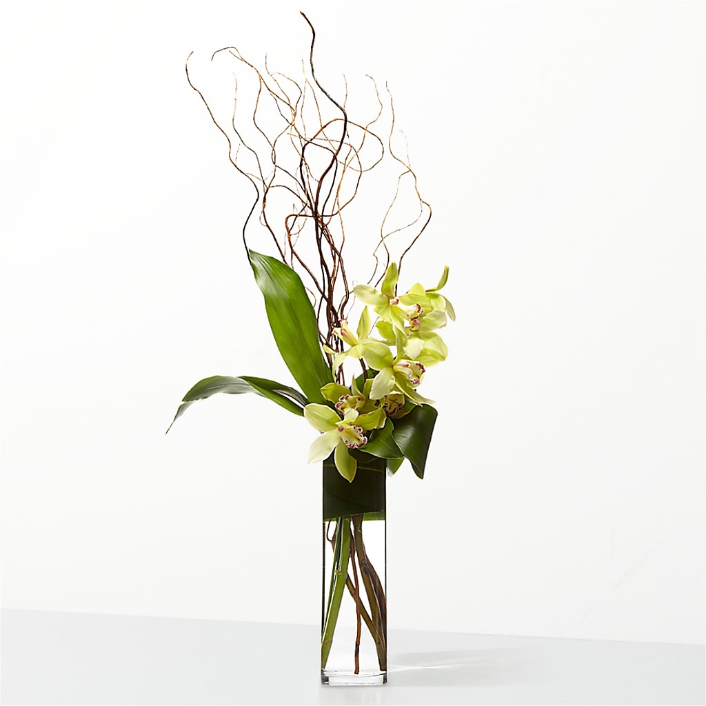 The Statement –  Flowers In Spring Llc, Lynchburg VA