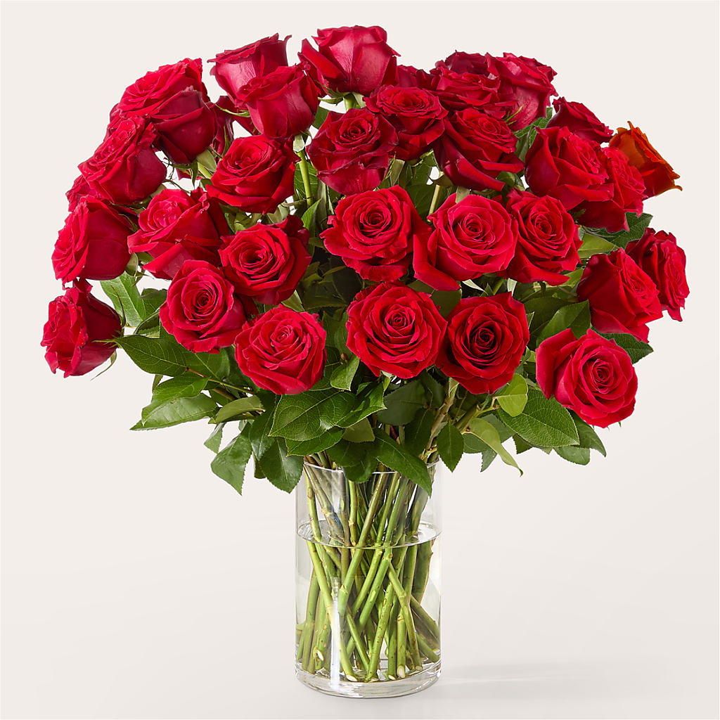 The One Red Rose Bouquet –  Flowers In Spring Llc, Lynchburg VA