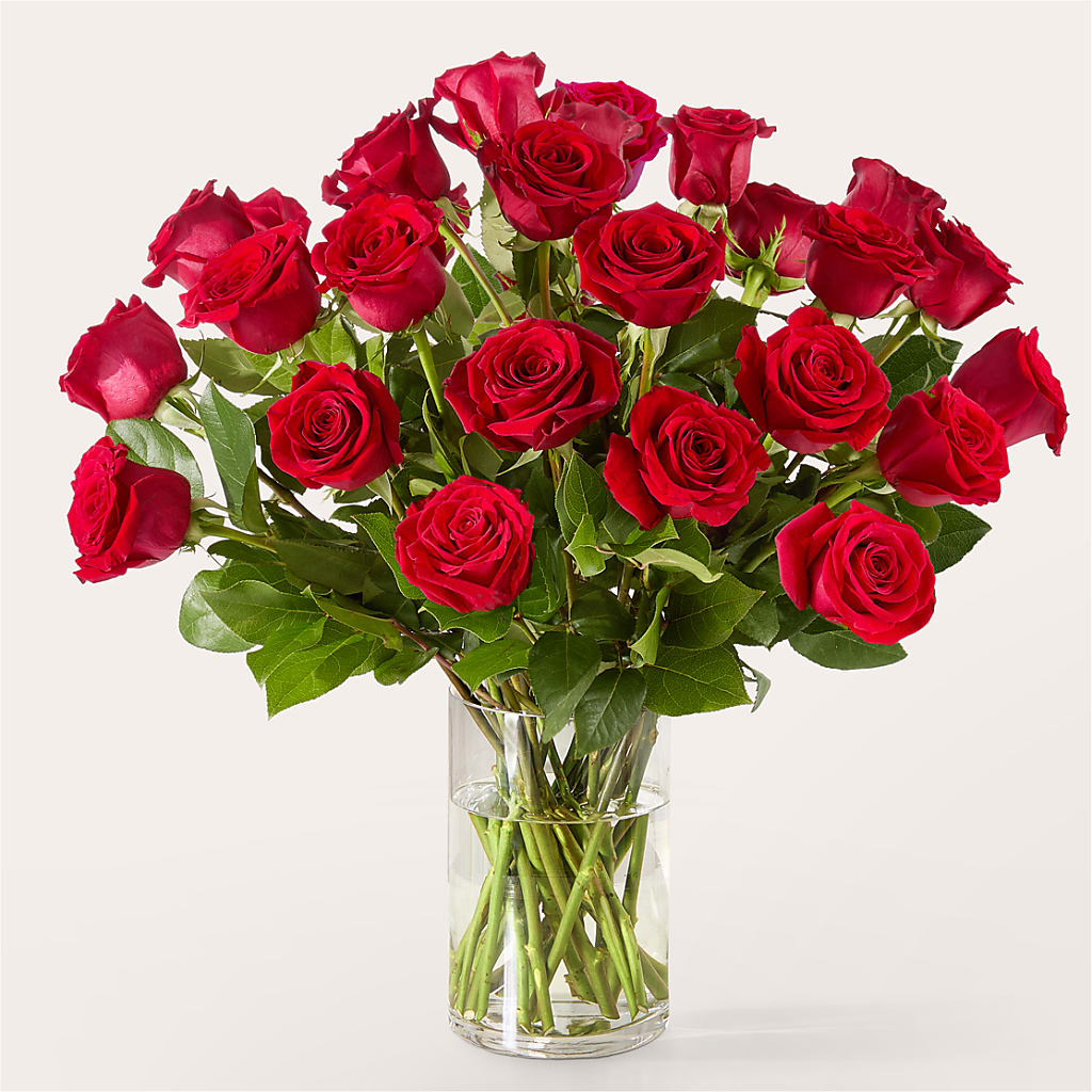 The One Red Rose Bouquet –  Flowers In Spring Llc, Lynchburg VA
