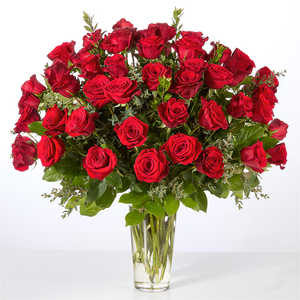 Forever Yours Fifty Stem Red Rose Bouquet –  Flowers In Spring Llc, Lynchburg VA
